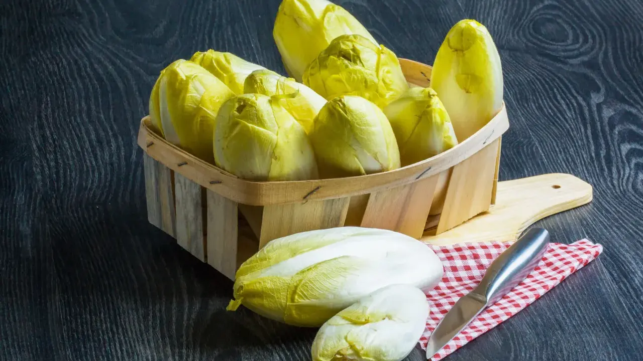 Indivia belga: Scopri come cucinarla, cruda o cotta, senza amaro!