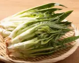Varietà di Insalate: Guida completa a nomi, sapori e usi