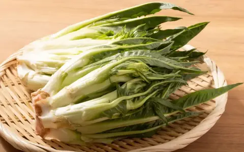 Varietà di Insalate: Guida completa a nomi, sapori e usi