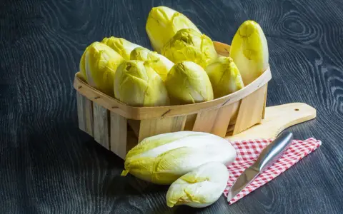 Indivia belga: Scopri come cucinarla, cruda o cotta, senza amaro!