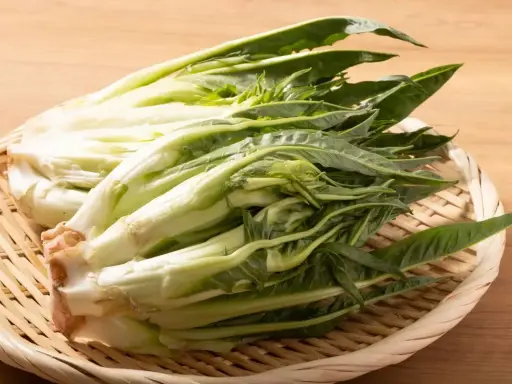 Varietà di Insalate: Guida completa a nomi, sapori e usi