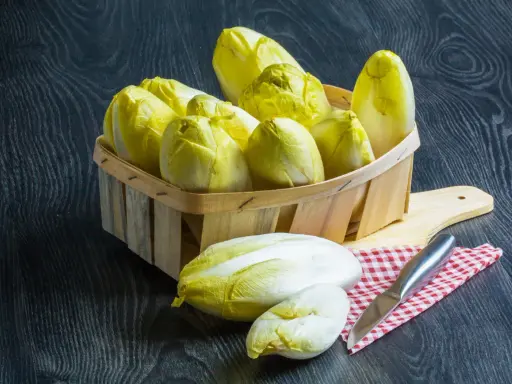 Indivia belga: Scopri come cucinarla, cruda o cotta, senza amaro!