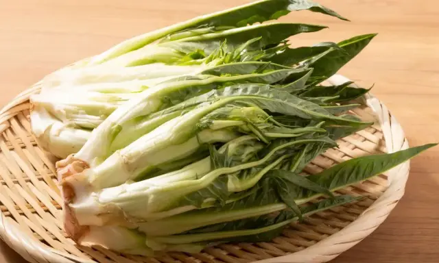 Varietà di Insalate: Guida completa a nomi, sapori e usi