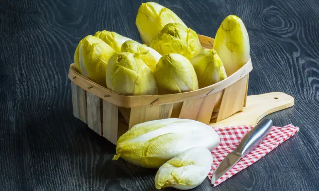 Indivia belga: Scopri come cucinarla, cruda o cotta, senza amaro!