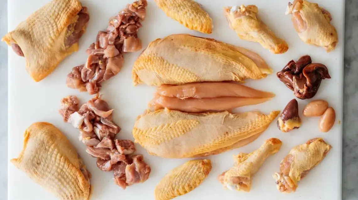 Vari tagli di pollo per ricette