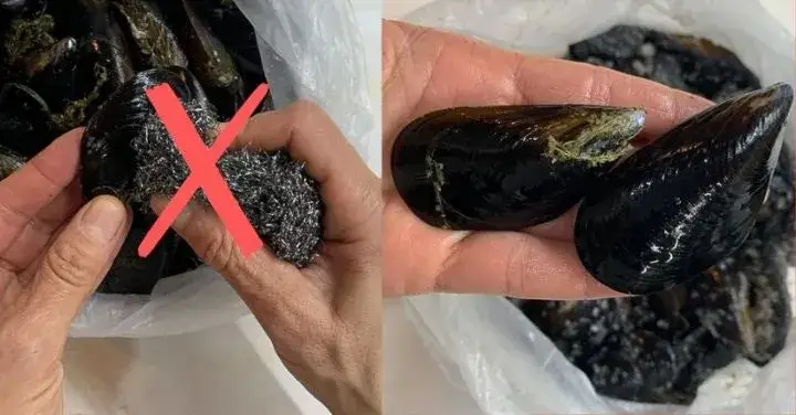 come pulire le cozze passo passo